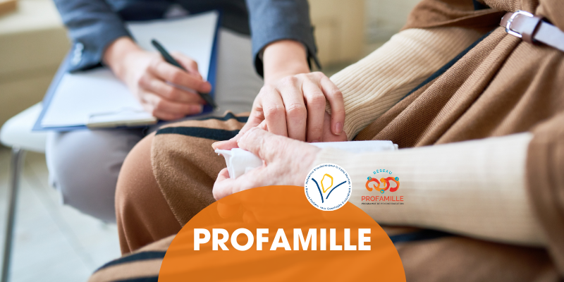 Formation Profamille – Séance d’information – 11/09/25