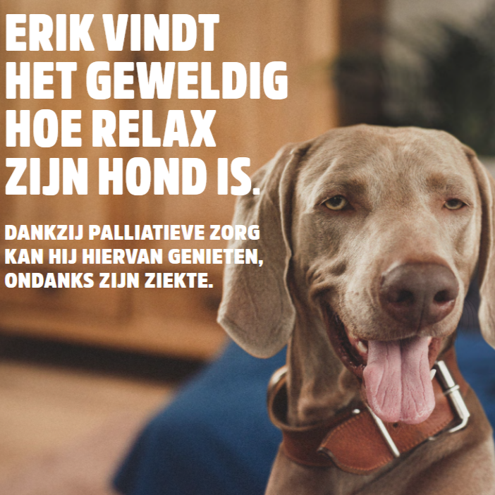 Palliatieve zorg: ‘Zorg en zoveel meer’