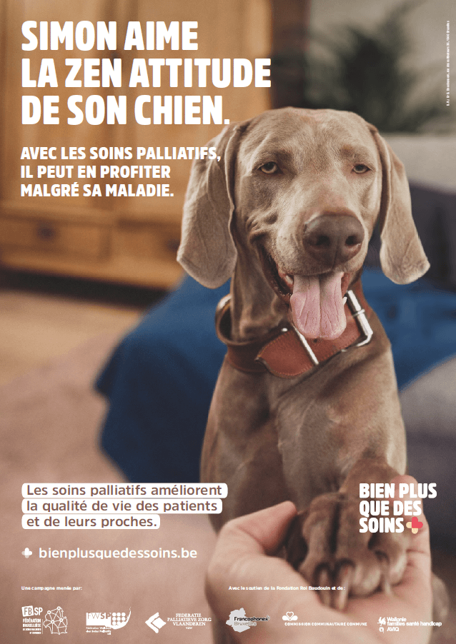 image-actu