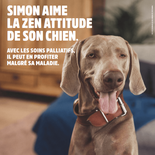 Soins palliatifs : « Bien plus que des soins ! »